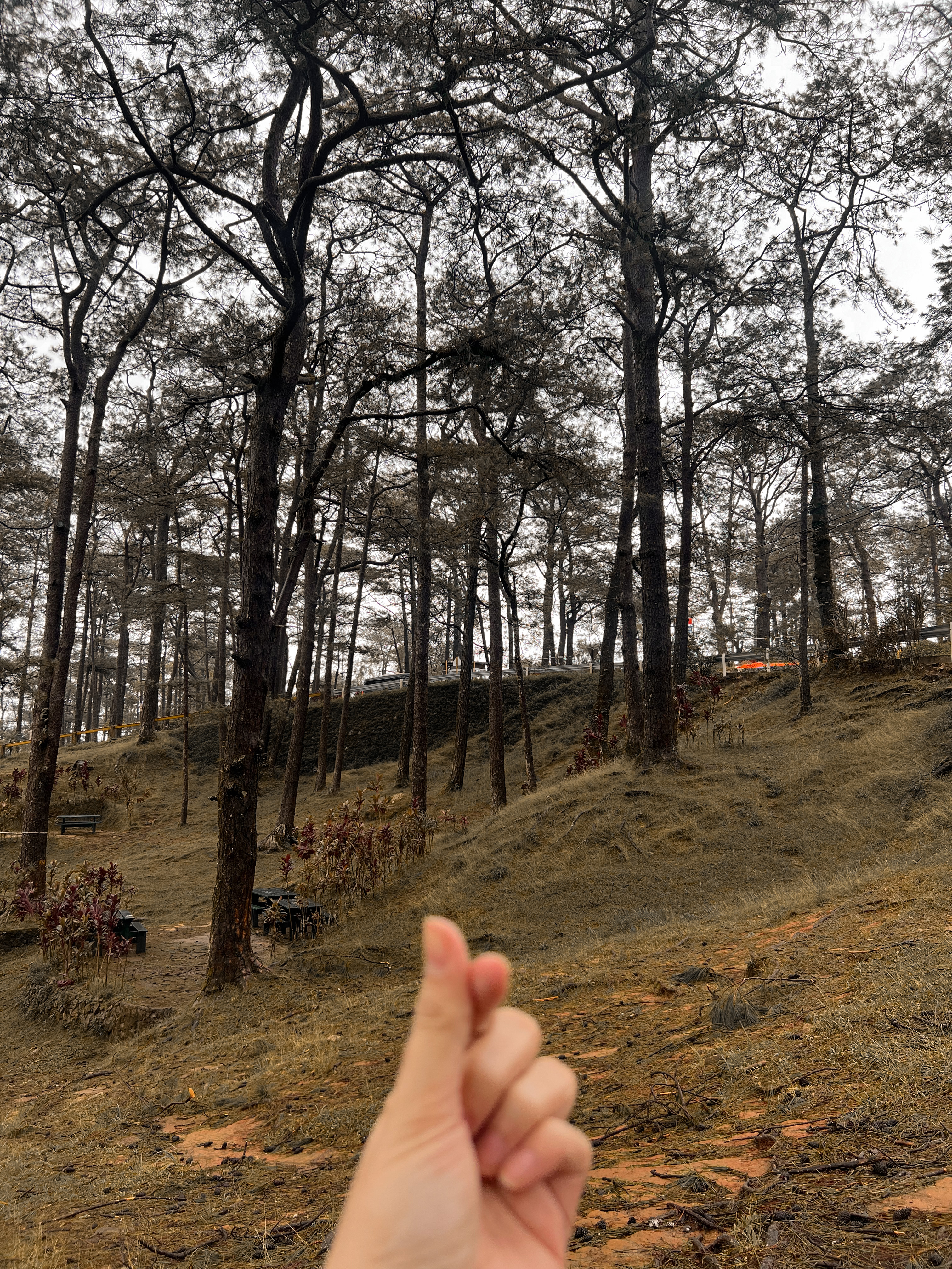 Baguio