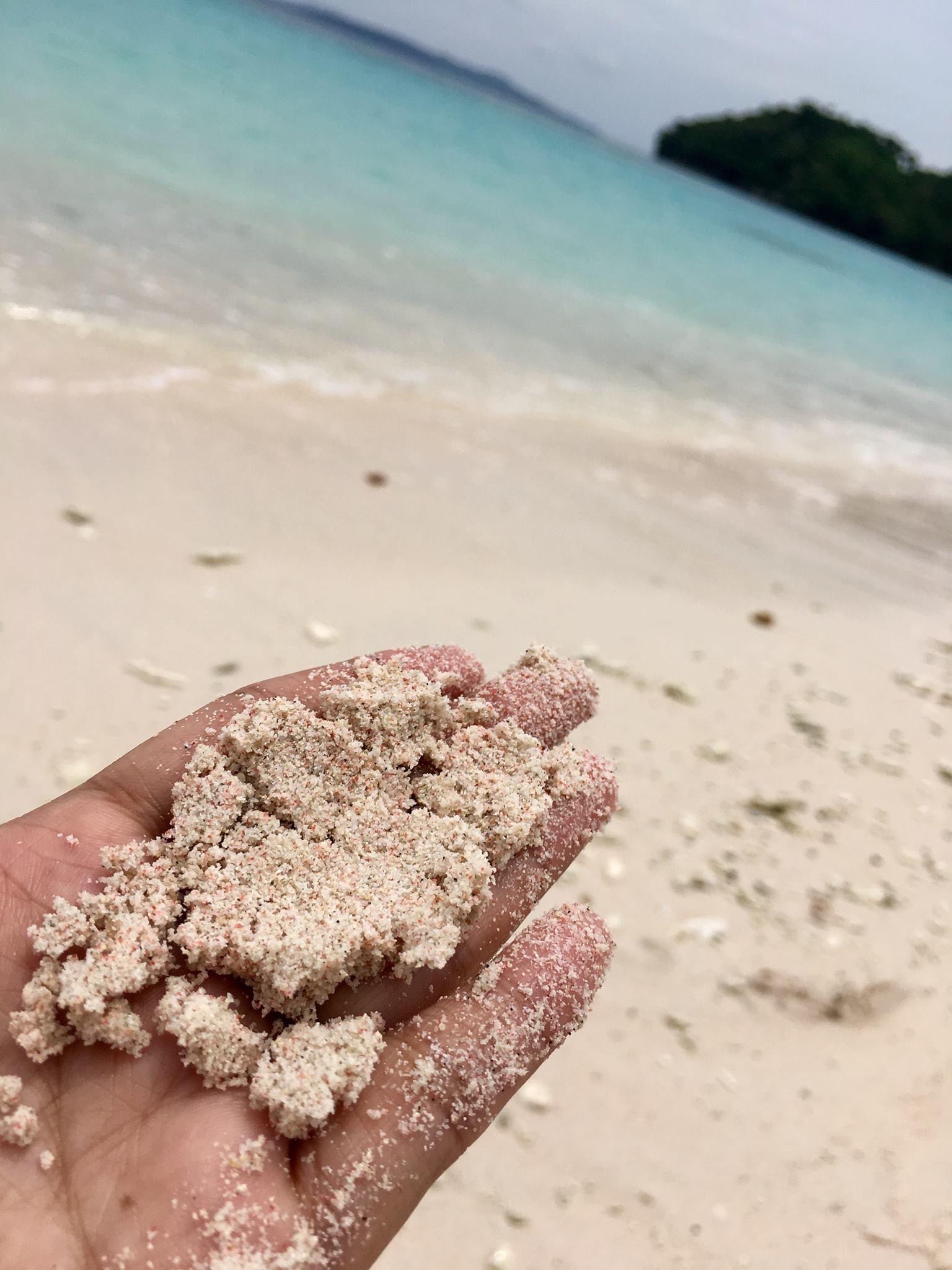 Bicol