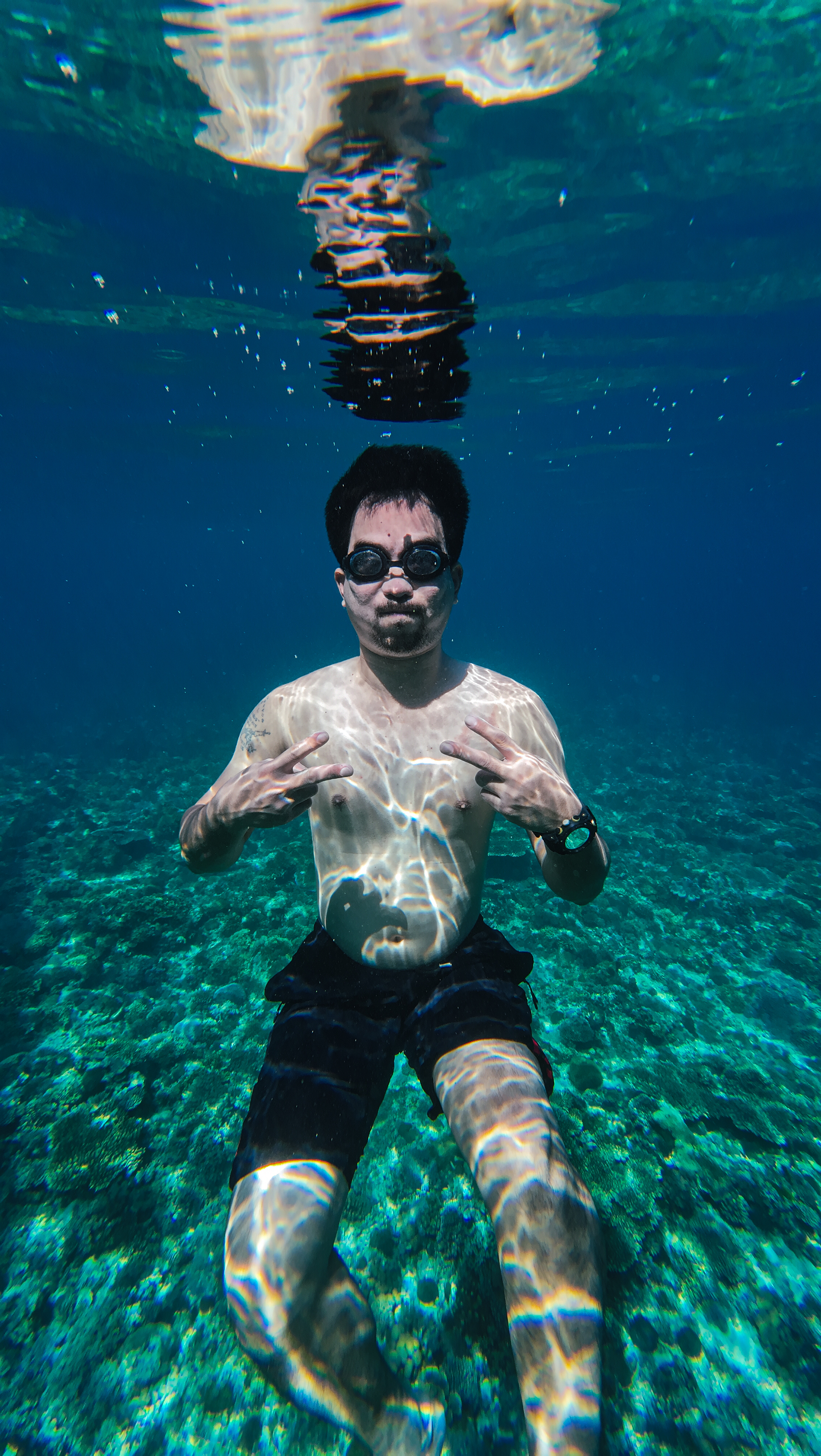 Bicol