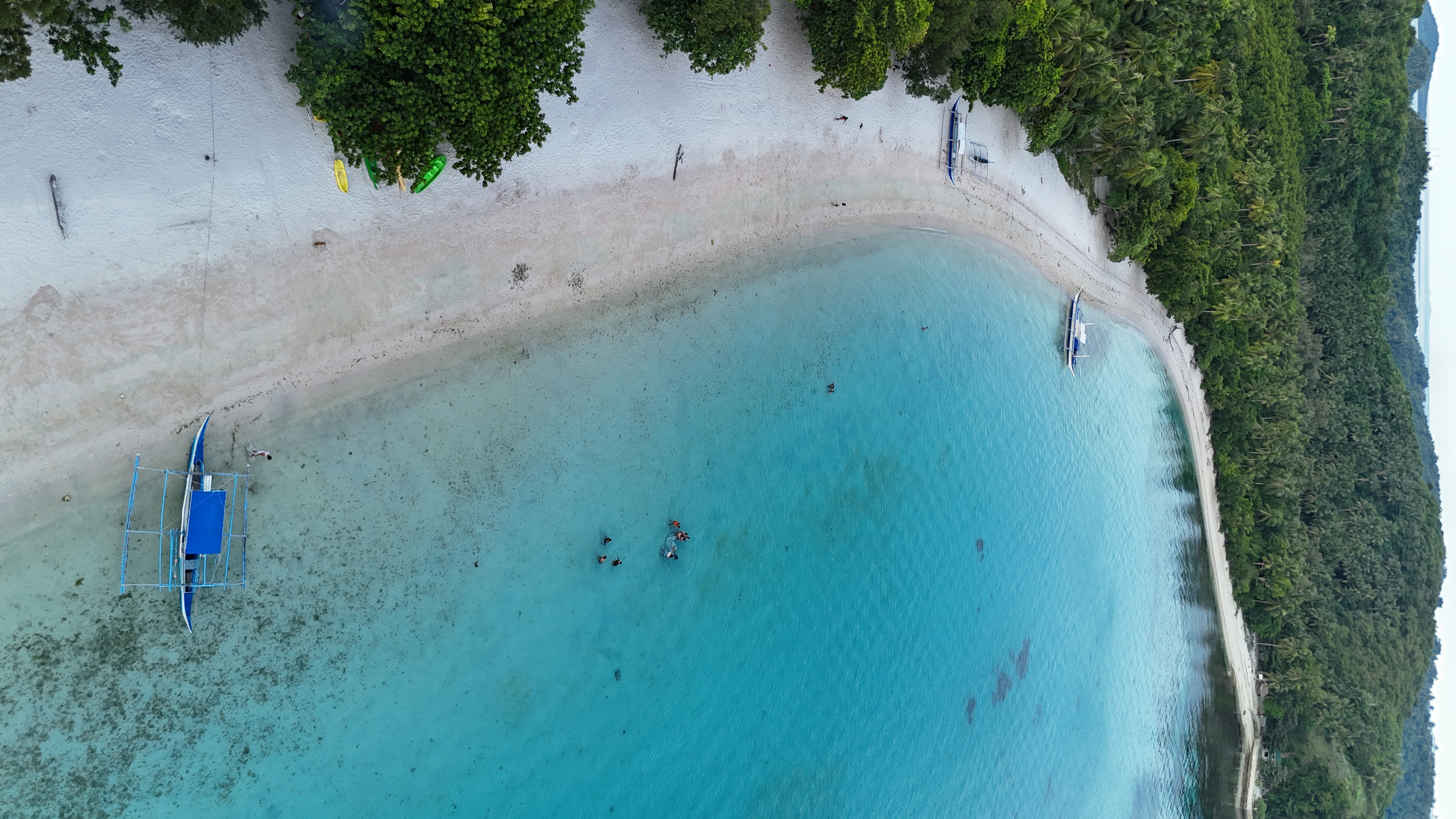 Bicol