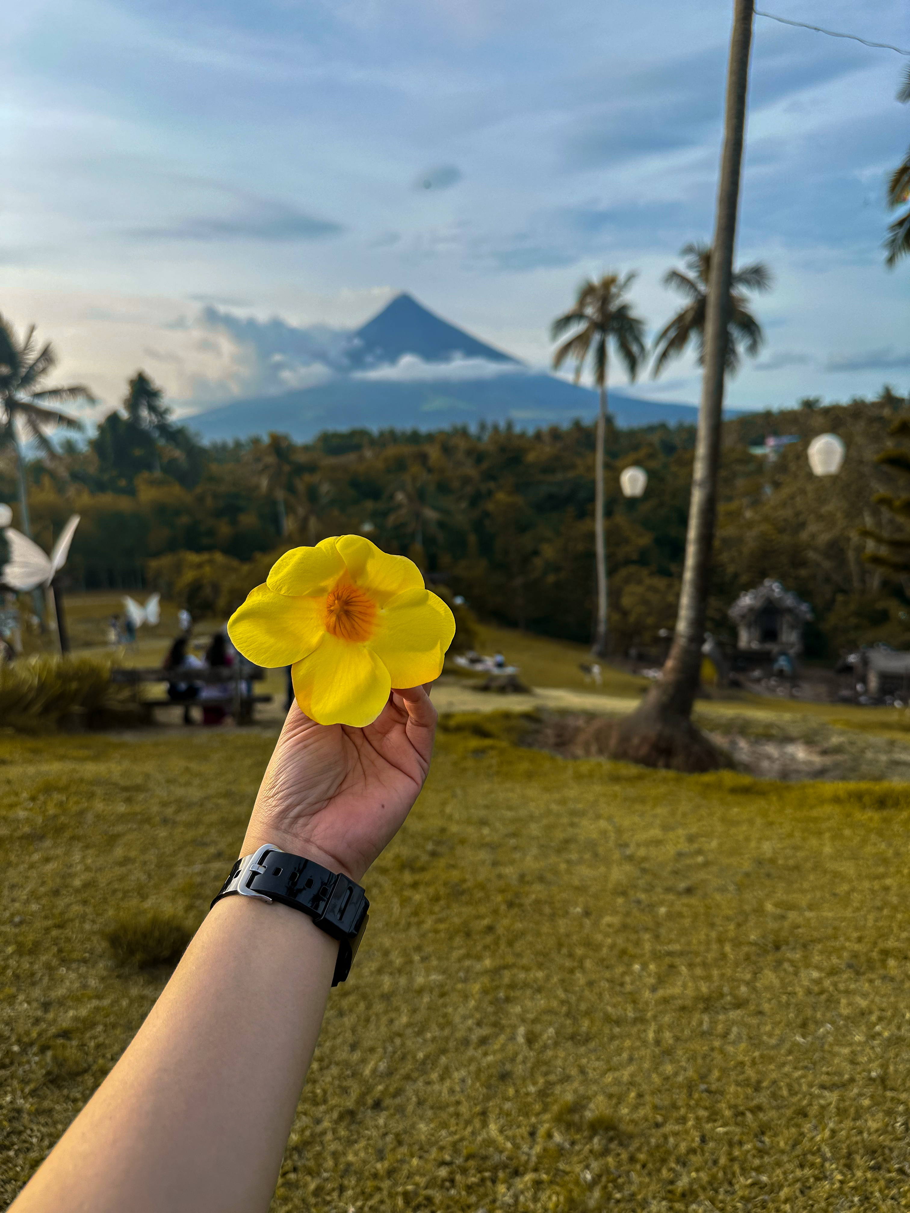 Bicol