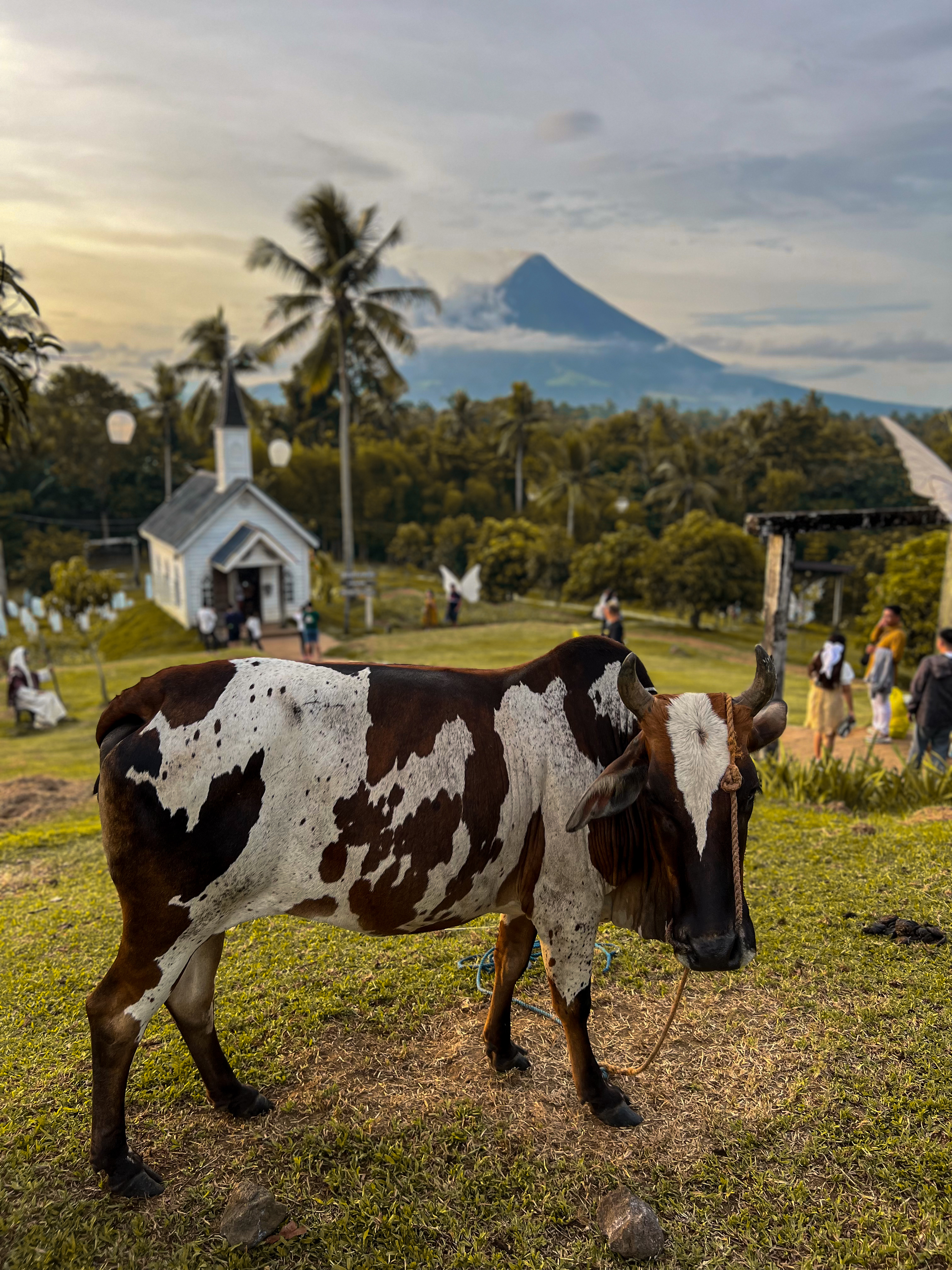 Bicol