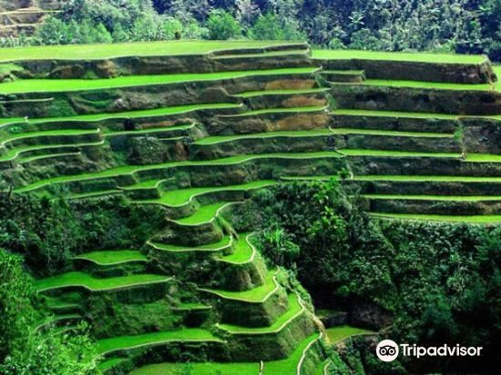 Sagada